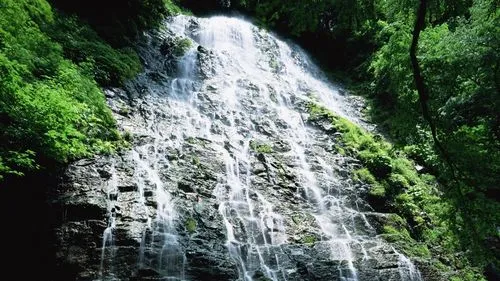 高效数字化高效